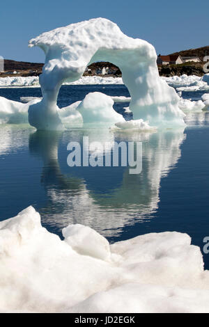 Eisberge in Twillingate Hafen - Twillingate, Neufundland, Kanada Stockfoto