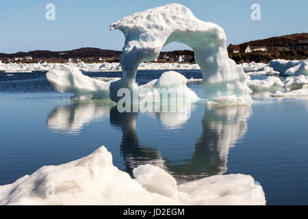 Eisberge in Twillingate Hafen - Twillingate, Neufundland, Kanada Stockfoto