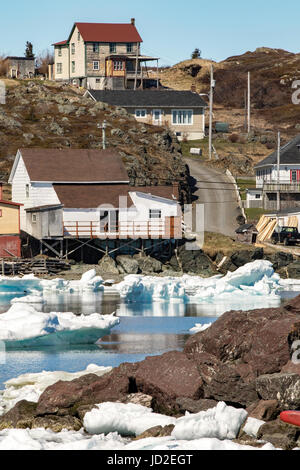 Blick auf die Stadt Twillingate von Twillingate Harbour - Neufundland, Kanada Stockfoto