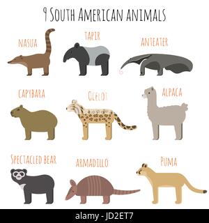 Vektor-Set von südamerikanischen Tiere Icons. Ameisenbär, Tapir, Gürteltier, Capybara. Flachen Stil. Stock Vektor