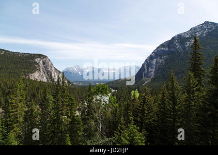 Wald- und Tunnel Mountain, gesehen vom Fairmont Hotel Banff Springs in Banff, Alberta, Kanada. Die Landschaft fällt im Banff National Park. Stockfoto