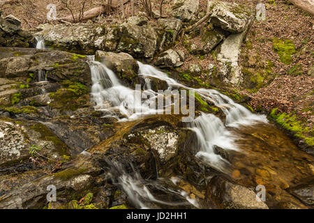 Fallingwater Creek am Wegesrand Fallingwater Kaskaden, Blue Ridge Parkway, VA Stockfoto