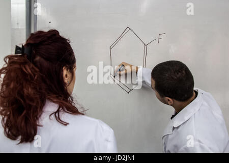Junge Ärztinnen und Ärzte werden gedruckt, einige chemische Elemente auf eine weiße Tafel, versuchen, das Problem zu lösen Stockfoto