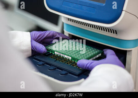 Wissenschaftler oder Forscher oder PHD Student nehmen Sie DNA-Proben von Kolben für die Analyse in einem Biotechnologie-Labor Stockfoto