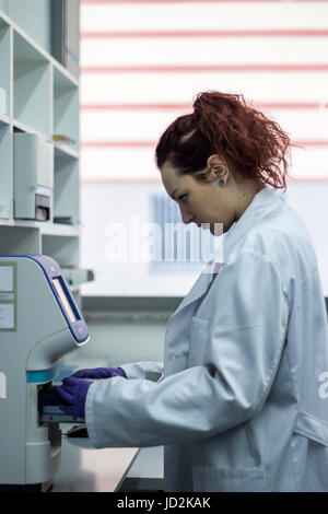 Wissenschaftler oder Forscher oder PHD Student nehmen Sie DNA-Proben von Kolben für die Analyse in einem Biotechnologie-Labor Stockfoto