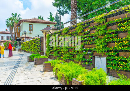 Die Wand-Garten in Kaleici - Holzzaun verziert mit zahlreichen Violen und andere Blumen in Töpfen, Antalya, Türkei. Stockfoto