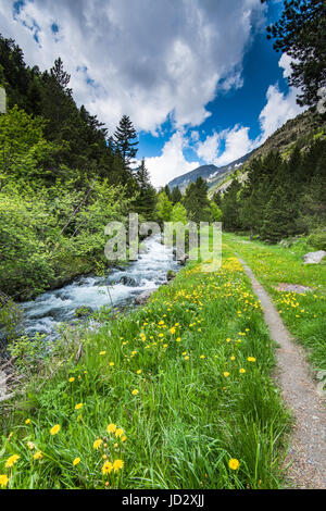 Schnell fließenden Gebirgsbach in Andorra Pyrenäen Stockfoto