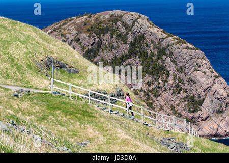 Wanderwege am Signal Hill - St. John's, Avalon Halbinsel, Neufundland, Kanada Stockfoto