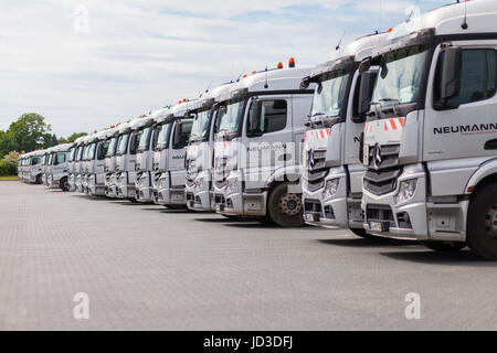 Burg/Deutschland - vom 11. Juni 2017: Deutsche Mercedes Benz Actros Lkw der Spedition Neumann steht in einer Zeile. Stockfoto