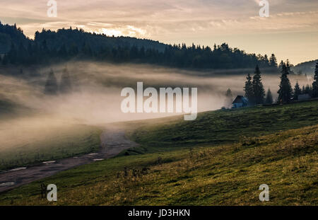 Ländliche Landschaft in Bergen von Rumänien. Schafherde auf der Hang-Wiese im Nebel nahe dem Wald bei Sonnenaufgang Stockfoto