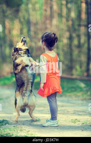 Das kleine Mädchen lehrt den Hund, den Befehl auszuführen. Hund steht auf den Hinterbeinen Stockfoto