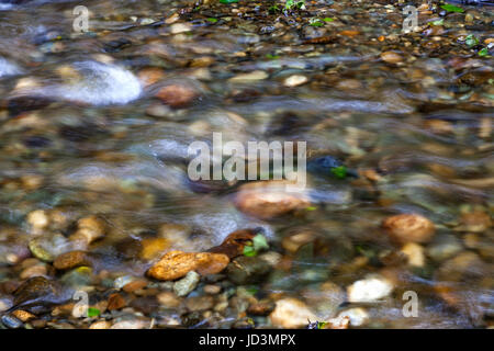 Wasser fließt über den Felsen und Kieselsteine Home Creek fließt es durch Fern Canyon im Norden Kaliforniens Prairie Creek Redwoods State Park. Prair Stockfoto