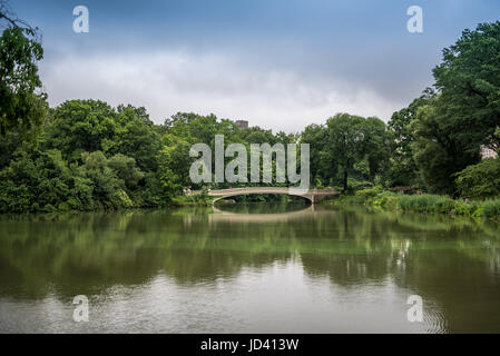 Central Park-Brücke Stockfoto