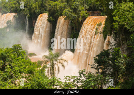 Majestätische Iguazu Wasserfall vom Feinsten im Januar. Wasser wird braun in dieser Zeit des Jahres. Stockfoto