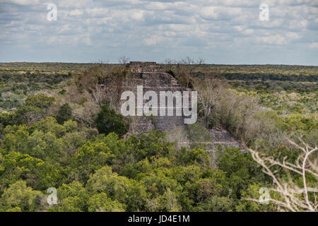 Mexikanischen Dschungel Panorama. Kalakmul Stockfoto