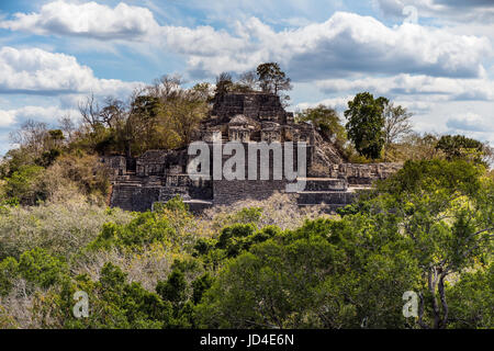 Mexikanischen Dschungel Panorama. Kalakmul Stockfoto