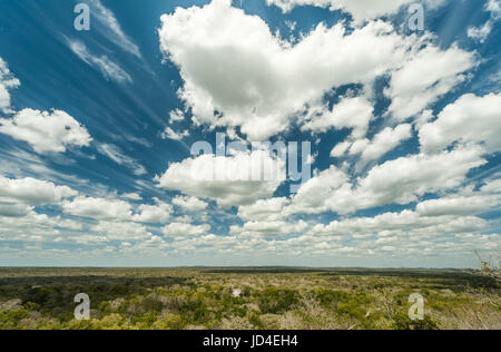 Mexikanischen Dschungel Panorama. Kalakmul Stockfoto