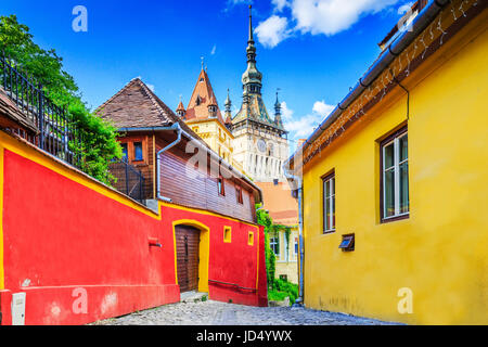 Sighisoara, Rumänien. Mittelalterliche Straße mit Uhrturm in Siebenbürgen. Stockfoto