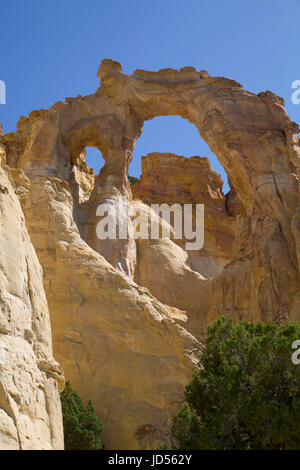 Grosvenor Arch, Grand Staircase-Escalante National Monument, Utah, USA Stockfoto