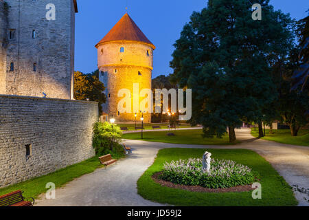 Greem Park in der Nähe von Kiek in de Kok, aus niederdeutschen bedeutet Peep in die Küche, es ist eine Artillerieturm in Tallinn, Estland, gebaut im Jahre 1475. Nachtansicht. Stockfoto