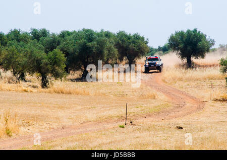 EXTREMADURA, Spanien - JUN 17: Fahrer und Mitfahrer teilnehmenden TT Spanisch-Rallye-Meisterschaft. Badajoz, Dehesa de Extremadura. Stockfoto