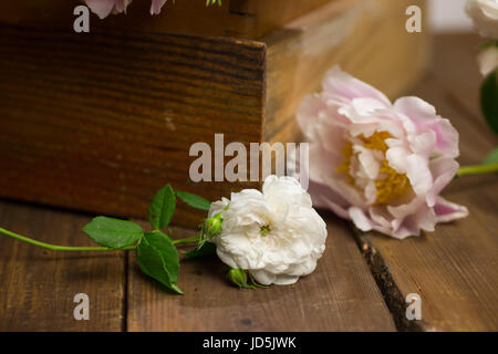 Wild Rose und Pfingstrose rosa Blumen auf Holz- Floristen Tabelle. Stockfoto