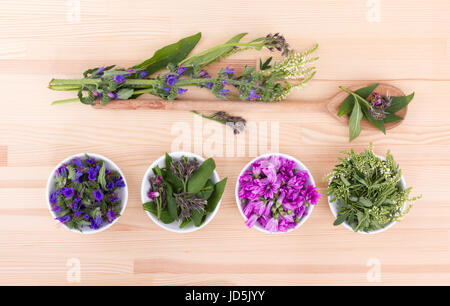 Schalen mit verschiedenen Blumen Stockfoto