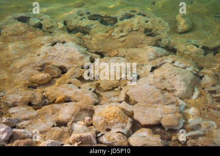 Salzkristall-Formationen am Toten Meer in Israel. Stockfoto