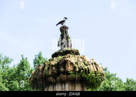 Fontain Giglio in Villa Doria Pamphili an der Via Aurelia Antica Stockfoto