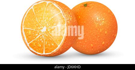 Orangen Stock Vektor