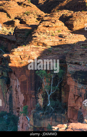 Dramatische Landschaft am Kings Canyon, Northern Territory, Australien Stockfoto