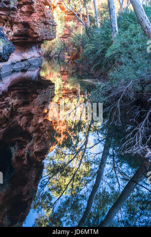 Der Garten Eden am Kings Canyon im Northern Territory, Australien. Stockfoto