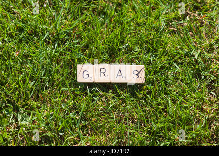 Scrabble Fliesen liegen auf dem Rasen im Garten Stockfoto