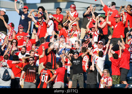 Chester, Pennsylvania, USA. 18. Juni 2017. Red Bulls feiern ihre Mannschaft ein Tor gegen Philadelphia Union während des Spiels Talen-Energie-Stadion in Chester PA Credit: Ricky Fitchett/ZUMA Draht/Alamy Live News Stockfoto