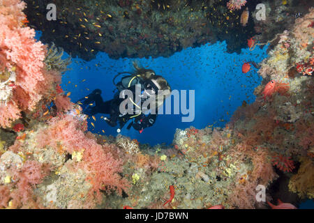 21. März 2017 - weibliche Taucher blicken auf Scool von Fischen in der Höhle, Indischer Ozean, Malediven Credit: Andrei Nekrassow/ZUMA Wire/ZUMAPRESS.com/Alamy Live News Stockfoto