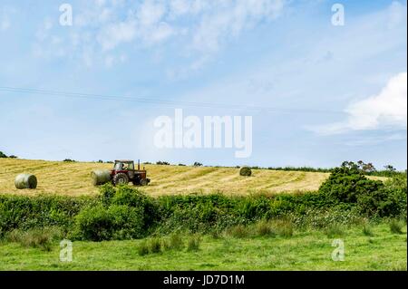 Ballydehob, West Cork, Irland. Juni 2017. An einem heißen Juni-Tag transportiert ein irischer Bauer Silageballen in den Lagerbereich. Die Ballen werden in den Wintermonaten als Futtermittel verwendet. Quelle: AG News/Alamy Live News. Stockfoto