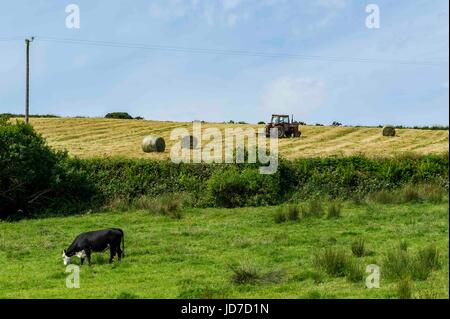 Ballydehob, West Cork, Irland. Juni 2017. An einem heißen Juni-Tag transportiert ein irischer Bauer Silageballen in den Lagerbereich. Die Ballen werden in den Wintermonaten als Futtermittel verwendet. Quelle: AG News/Alamy Live News. Stockfoto