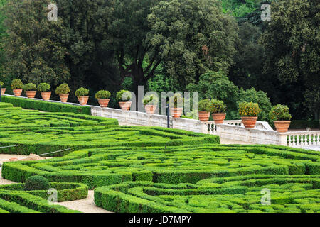 Flowerspots mit dekorativen Orange in der Villa Doria Pamphili an der Via Aurelia Antica Stockfoto