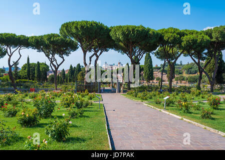 Rom (Italien) - die touristische Gemeinde Rosen auf dem Aventin-Hügel in der Mitte; geöffnet während den Frühlings- und Sommermonaten, Gastgeber viele Arten von Rosen. Stockfoto