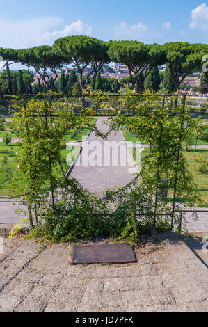 Rom (Italien) - die touristische Gemeinde Rosen auf dem Aventin-Hügel in der Mitte; geöffnet während den Frühlings- und Sommermonaten, Gastgeber viele Arten von Rosen. Stockfoto