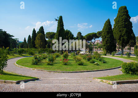 Rom (Italien) - die touristische Gemeinde Rosen auf dem Aventin-Hügel in der Mitte; geöffnet während den Frühlings- und Sommermonaten, Gastgeber viele Arten von Rosen. Stockfoto