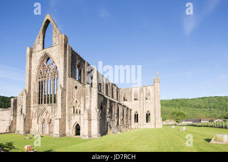 Tintern Abbey im Wye Valley, Monmouthshire, Wales, UK Stockfoto