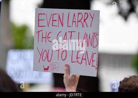 Anti-Tory-DUP-Allianz-Demonstration vor der Downing Street in Whitehall, London. Plakate und Demonstranten. Larry, die Katze Stockfoto