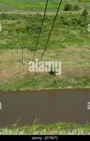 Eine schwarze und weiße Kuh grasen auf einer Wiese in der Nähe der river.t-Draufsicht Stockfoto