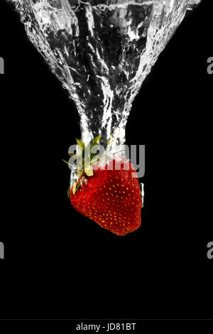 Reife Erdbeeren durch Spritzer in Wasser auf einem schwarzen Hintergrund umgeben, Spritzwasser Stockfoto