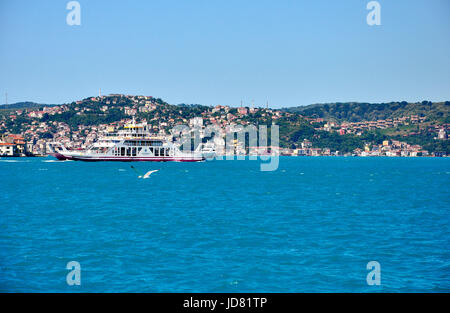 Türkis gefärbt Bosporus Stockfoto