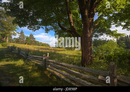 Landstraße auf Mt. Dessert Insel in Maine. Stockfoto