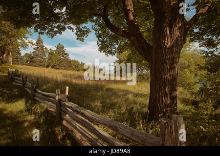 Landstraße auf Mt. Dessert Insel in Maine. Stockfoto