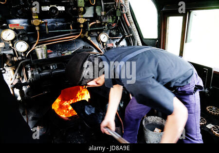 Heizer Kohle schaufeln in die Feuerbüchse auf die Schlacht um England klasse Lokomotive Manston 34070 Stockfoto