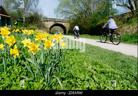 Radfahrer auf der Monsal Trail in Bakewell in Derbyshire an einem Frühlingstag Stockfoto